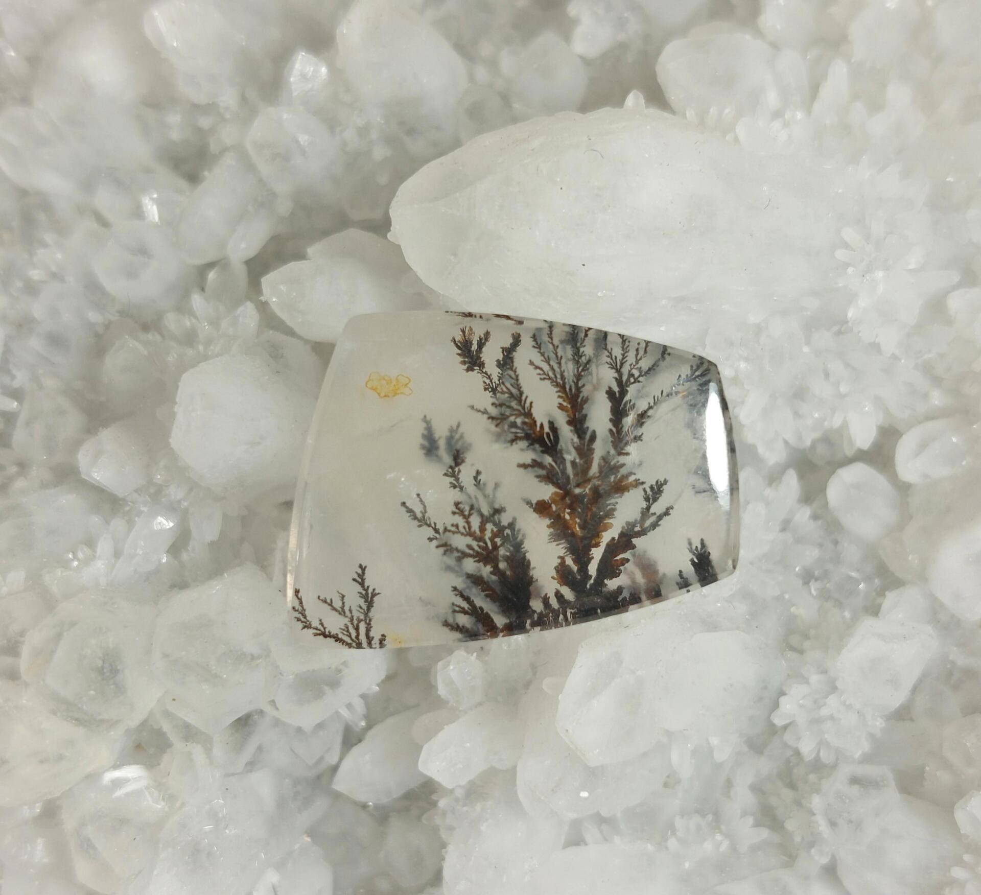 نگین کوارتز شجر